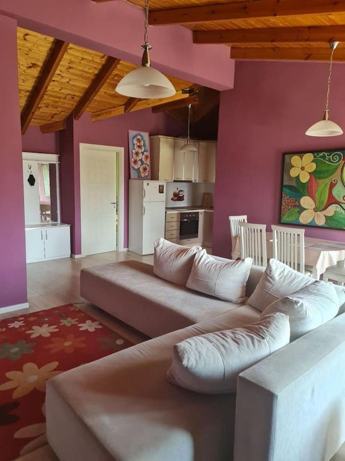 Penthahouse Shallvare Tirana Zewnętrze zdjęcie
