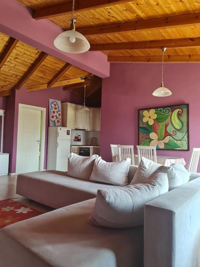 Penthahouse Shallvare Tirana Zewnętrze zdjęcie